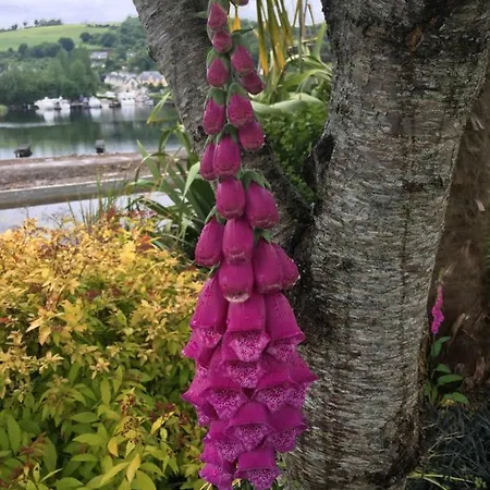The Derg House Holiday home Killaloe